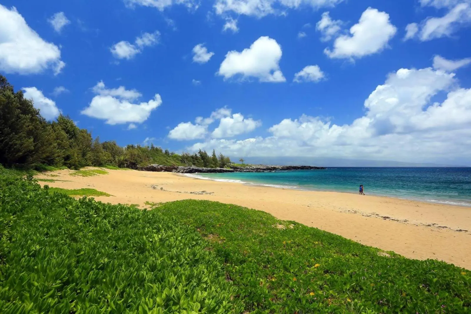 Apartamento 1711 Ridge Kahana 0*,  Estados Unidos