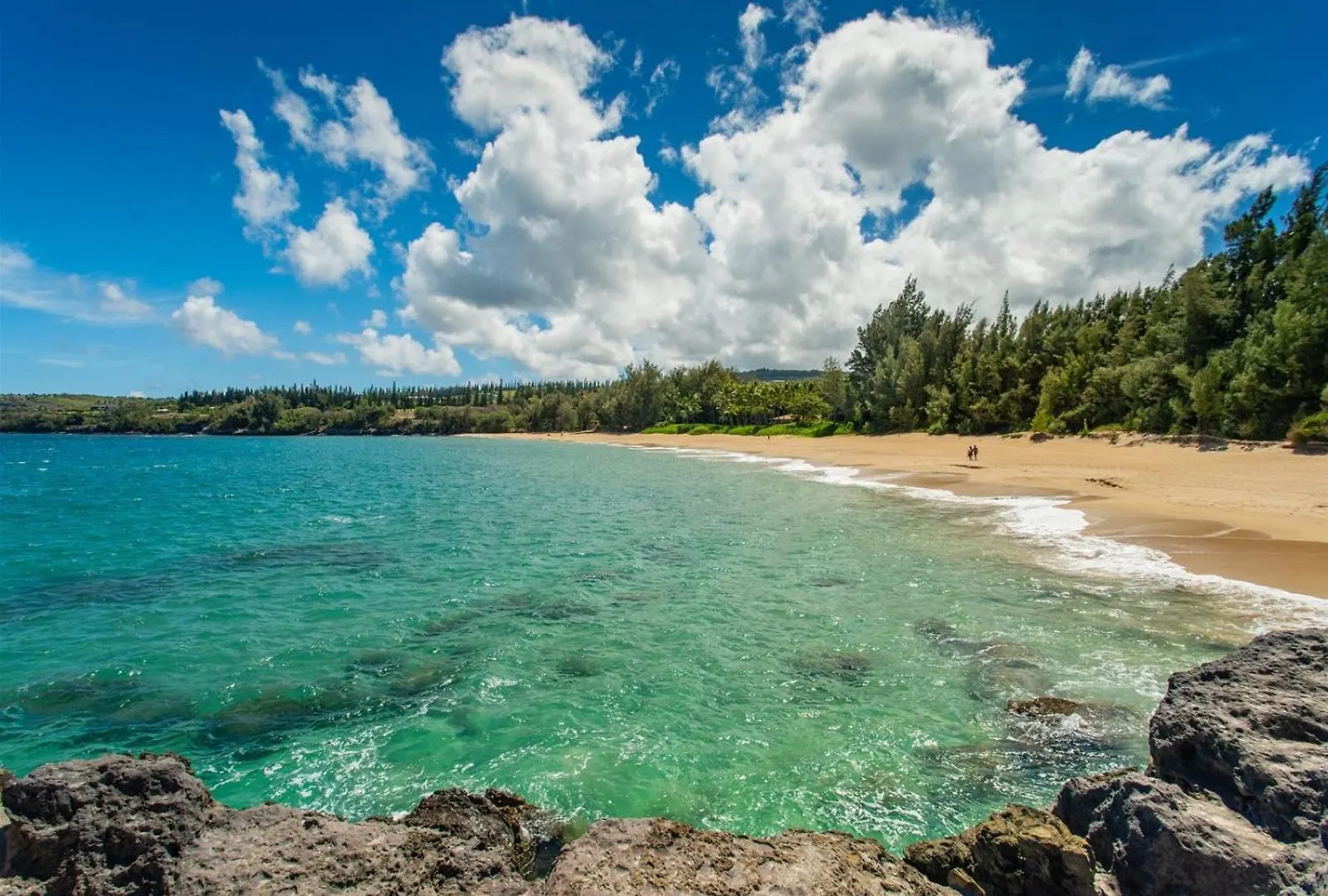 Apartamento 1711 Ridge Kahana