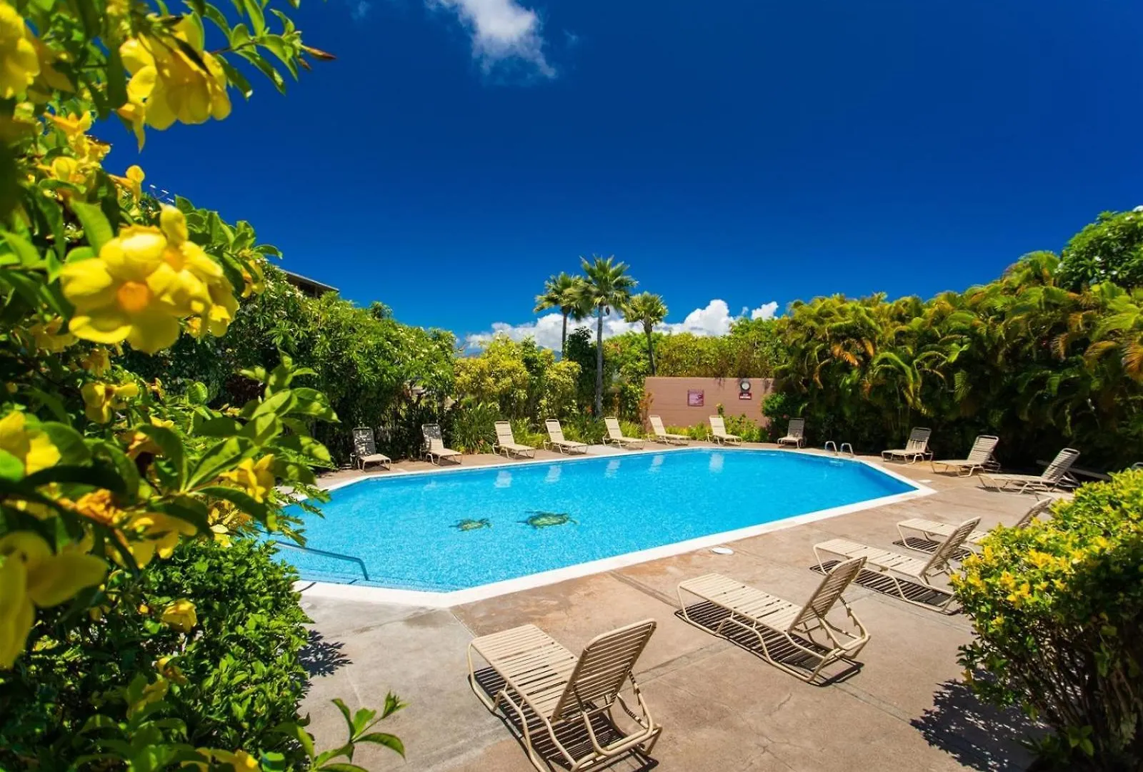 Apartamento 1711 Ridge Kahana Estados Unidos
